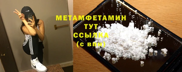 прущие грибы Ростов