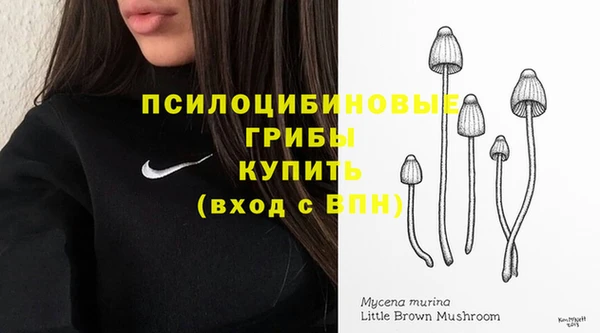 гидра Балахна